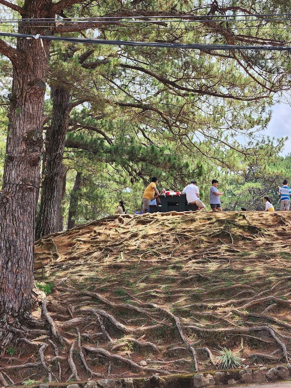 %EC%BA%A0%ED%94%84%EC%A1%B4%ED%97%A4%EC%9D%B4_%282%29.jpg?type=w1200