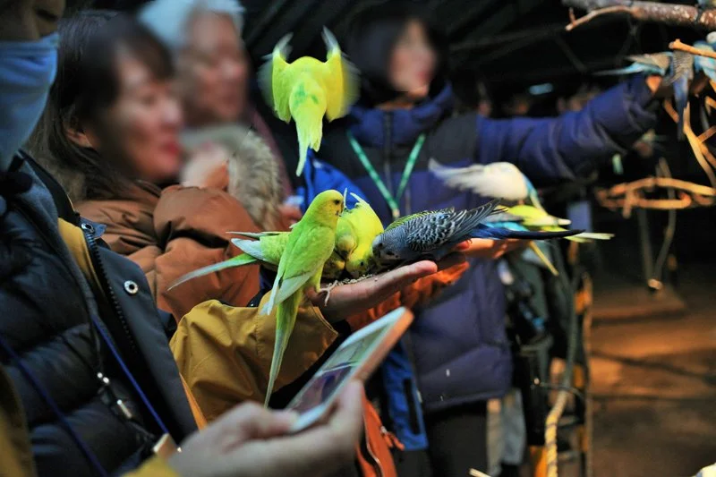 image_6796018471581315310173.jpg?type=w1200