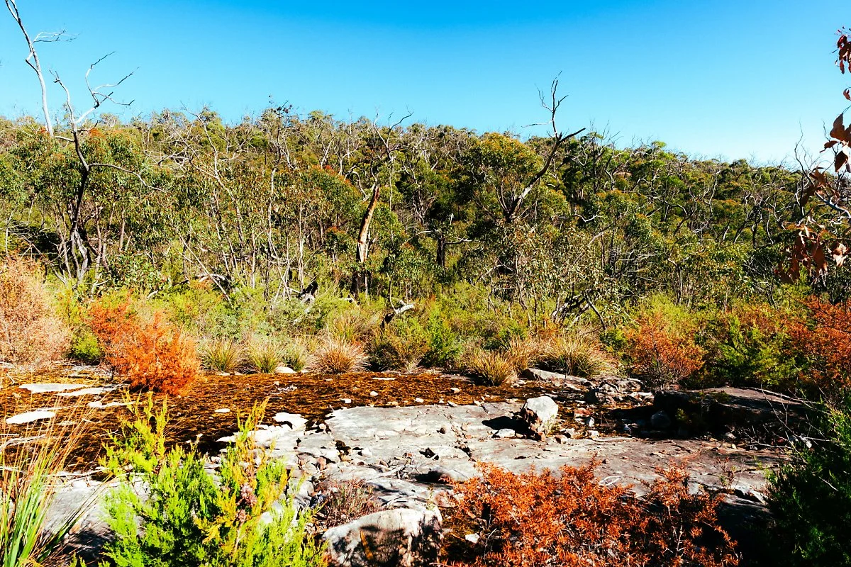 %EA%B7%B8%EB%9E%A8%ED%94%BC%EC%96%B8%EC%8A%A4_%ED%94%BC%ED%81%AC_%ED%8A%B8%EB%A0%88%EC%9D%BC_%281%29.jpg?type=w1200