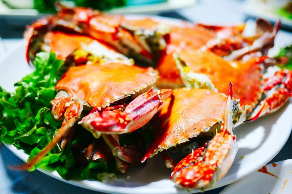 KakaoTalk_20230307_093421607-2.jpg?type=w1200