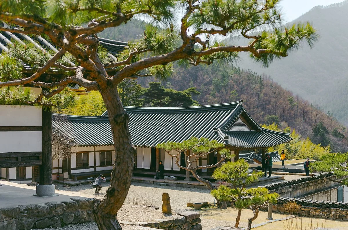 %EC%95%84%EC%9B%90%283%29.jpg?type=w1200