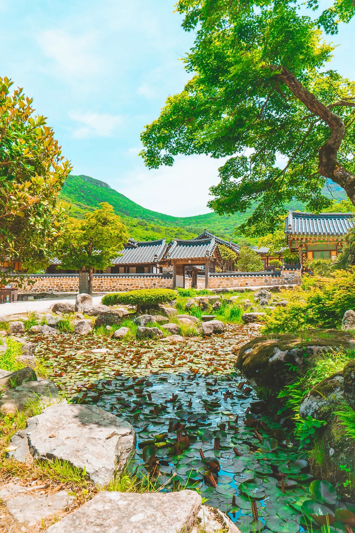 %EB%8C%80%ED%9D%A5%EC%82%AC_%2822%29.jpg?type=w1200