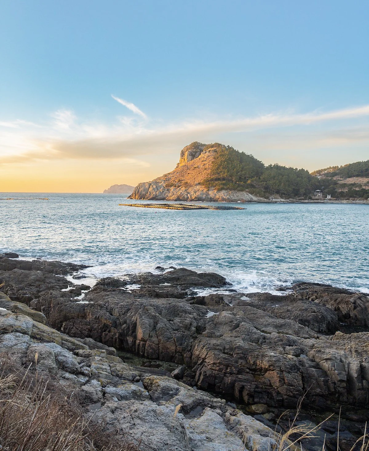 image_1462765031616553378224.jpg?type=w1200