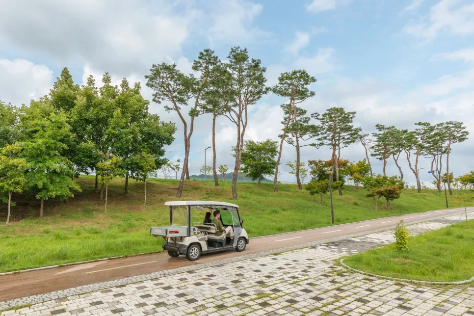 IMG_5993.jpg?type=w966