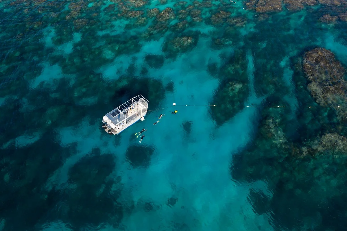 lady_elliot_island3.jpg?type=w1200