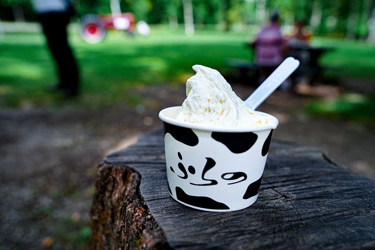 %ED%9B%84%EB%9D%BC%EB%85%B8_%EC%B9%98%EC%A6%88_%EA%B3%B5%EB%B0%A9_%289%29.jpg?type=w1200