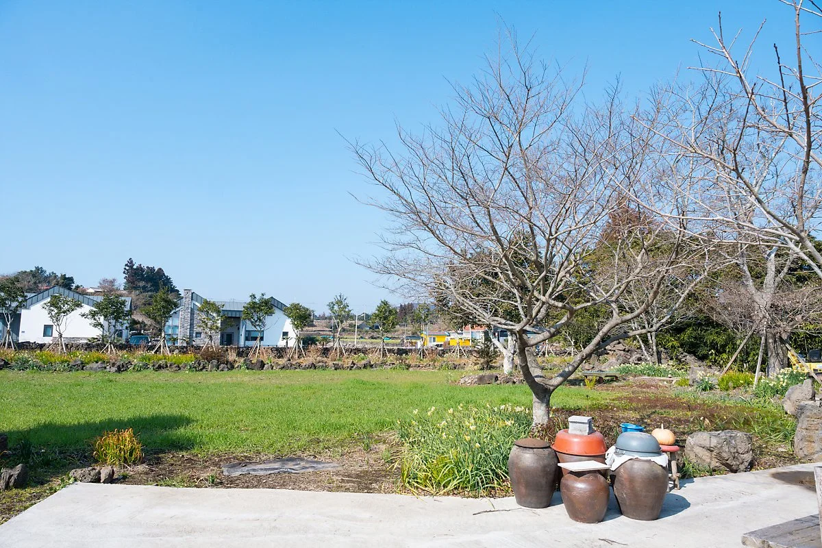 %EA%B3%A0%EC%86%8C%EB%A6%AC%EC%88%A0%EC%9D%B5%EB%8A%94%EC%A7%91_%288%29.jpg?type=w1200