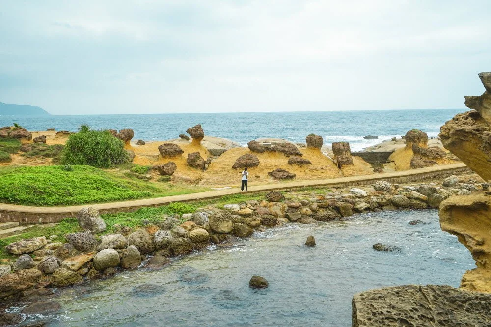 %EC%98%88%EB%A5%98%EC%A7%80%EC%A7%88%EA%B3%B5%EC%9B%90.jpg?type=w1200