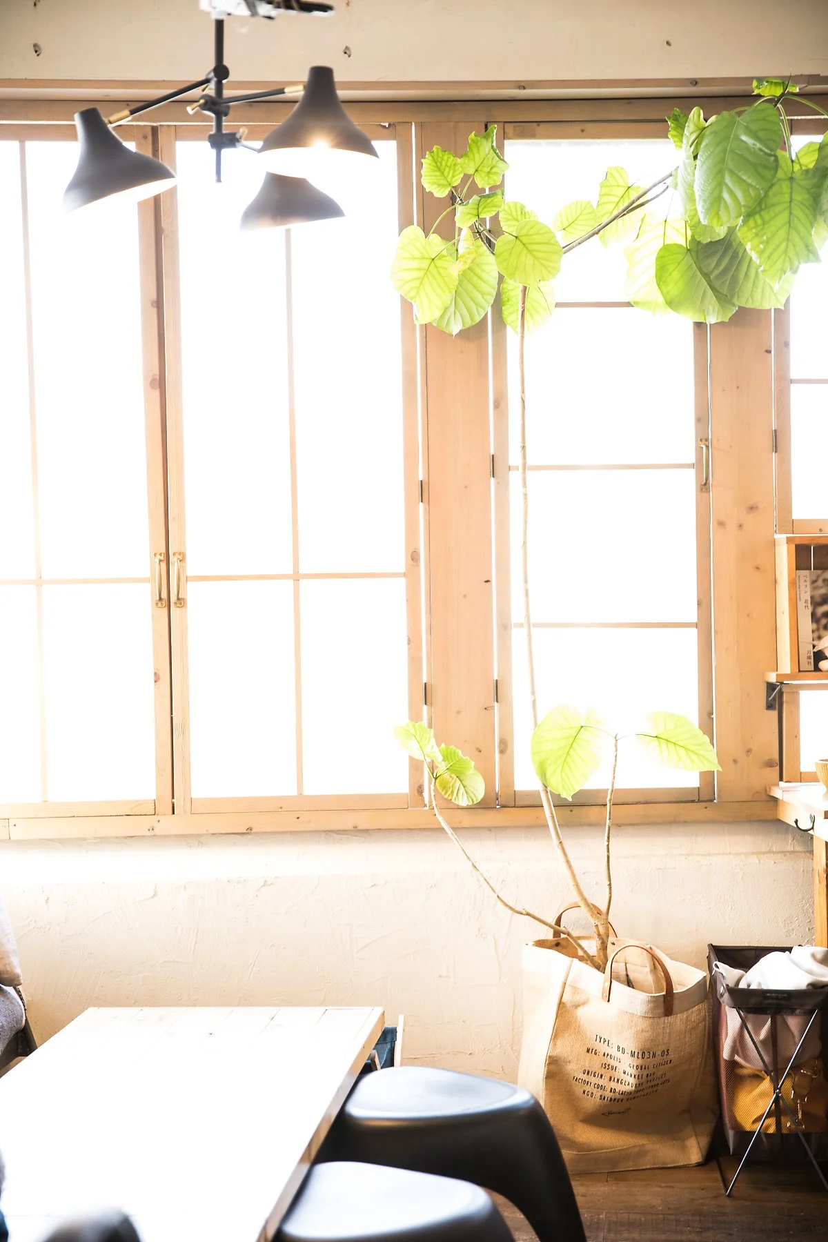 6e_united_cafe%283%29.jpg?type=w1200