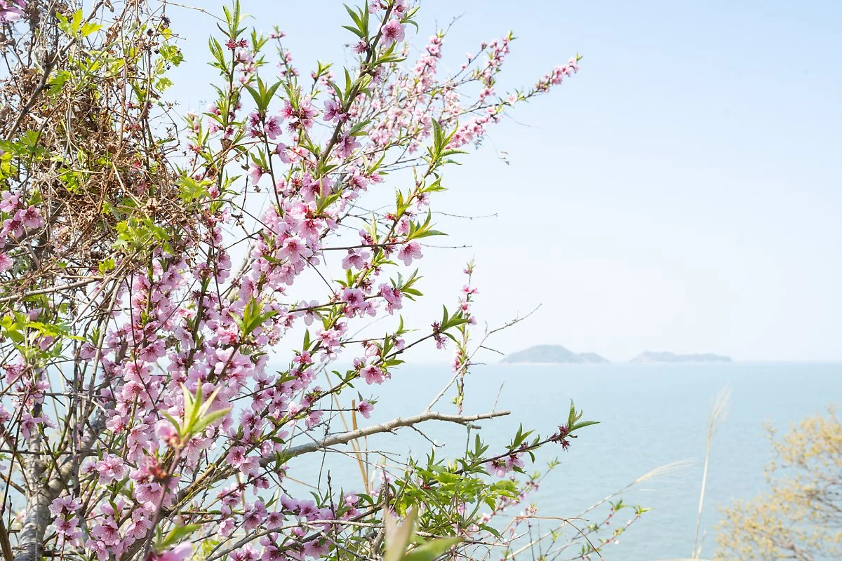 %EA%B0%AF%ED%8B%B0%EA%B8%B8_%ED%95%B4%EC%95%88%EC%BD%94%EC%8A%A4_%282%29.jpg?type=w1200