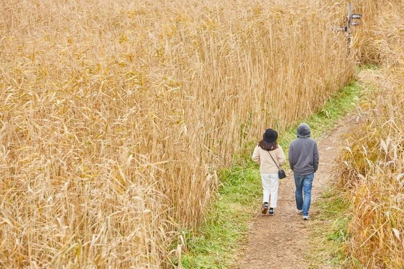 926042fb-621f-436e-a0ca-2647a04d8c1a.jpg?type=w1200