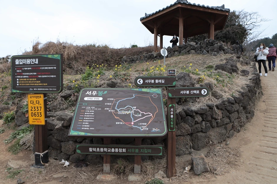 6D_(연주) (13).JPG