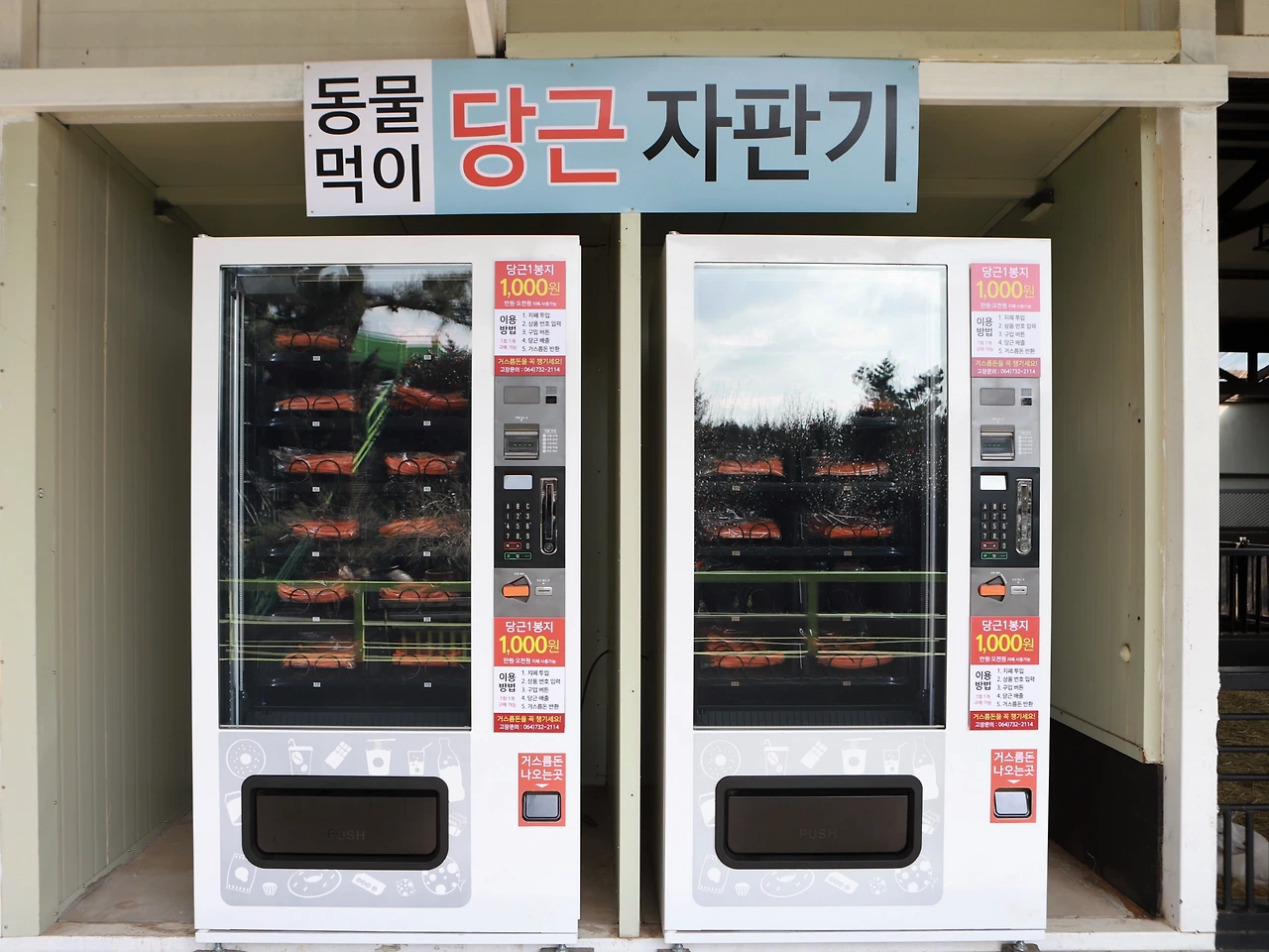 6D_(연주) (168).JPG