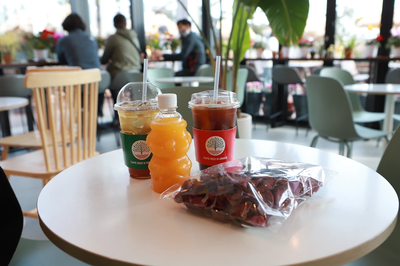 6D_(연주) (120).JPG