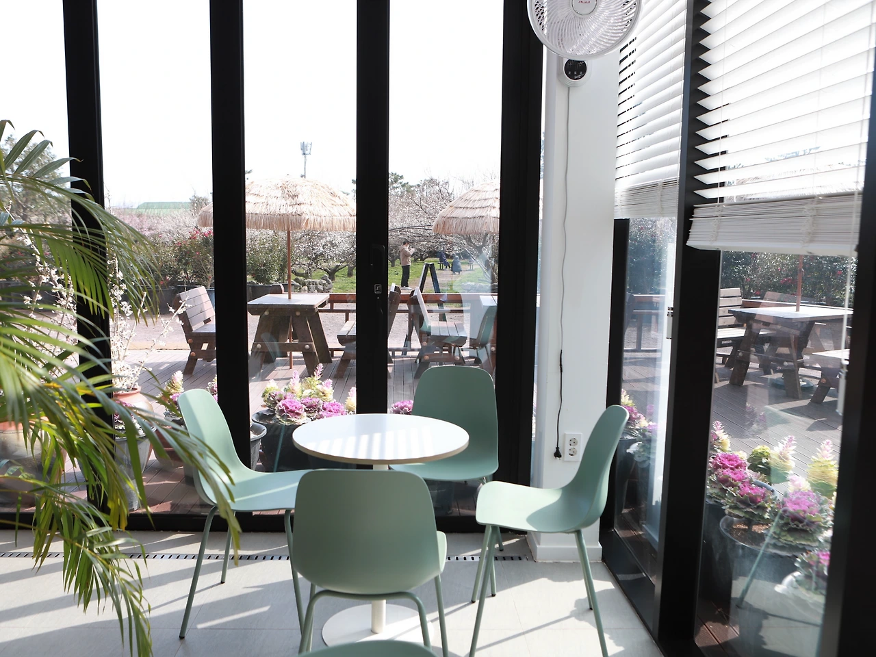 6D_(연주) (136).JPG