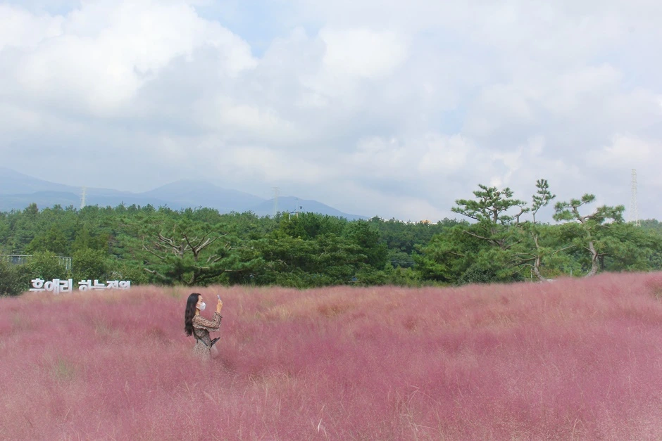 휴애리 하늘정원 (106).JPG