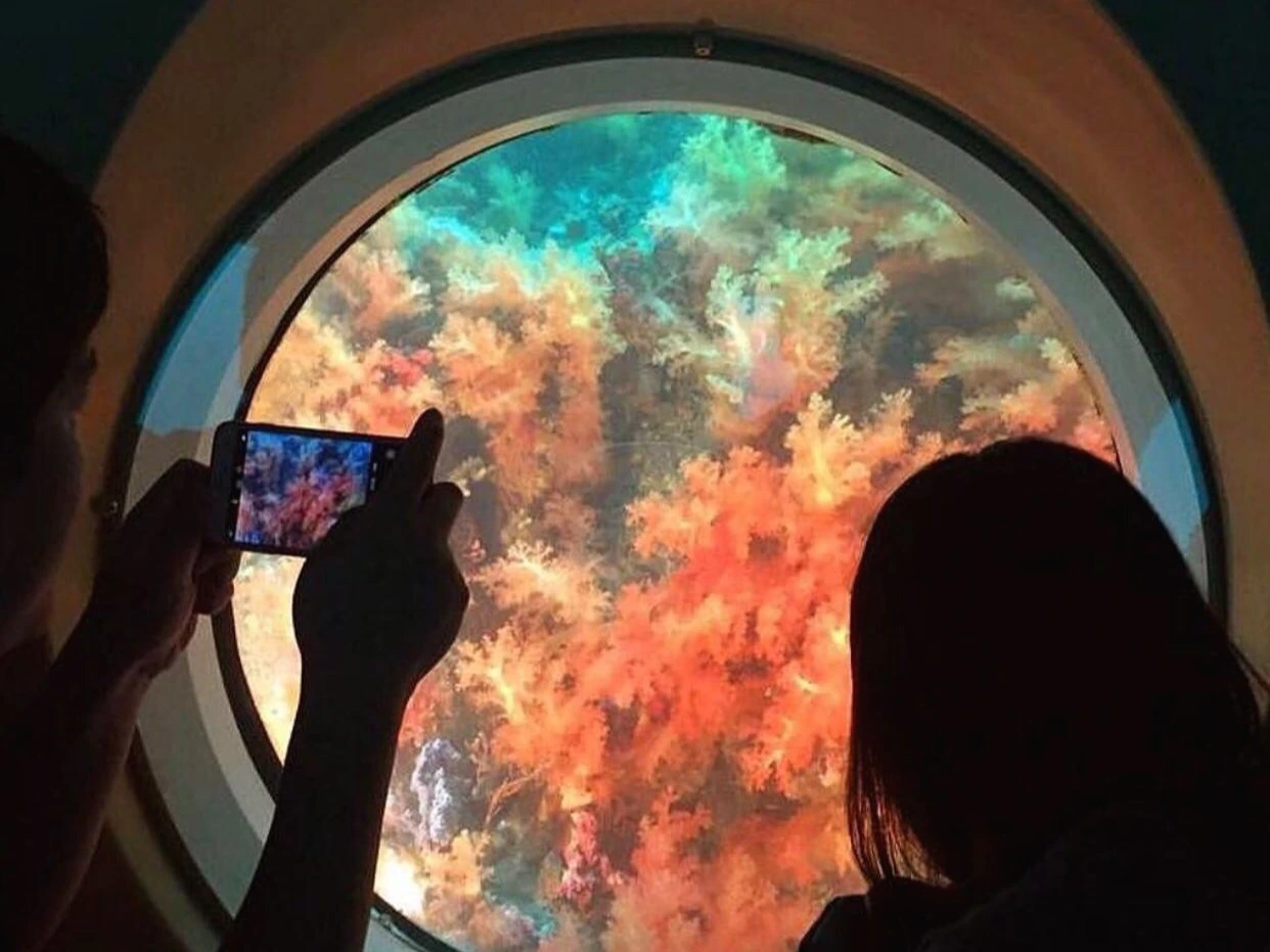 서귀포잠수함    업체이미지5.jpeg