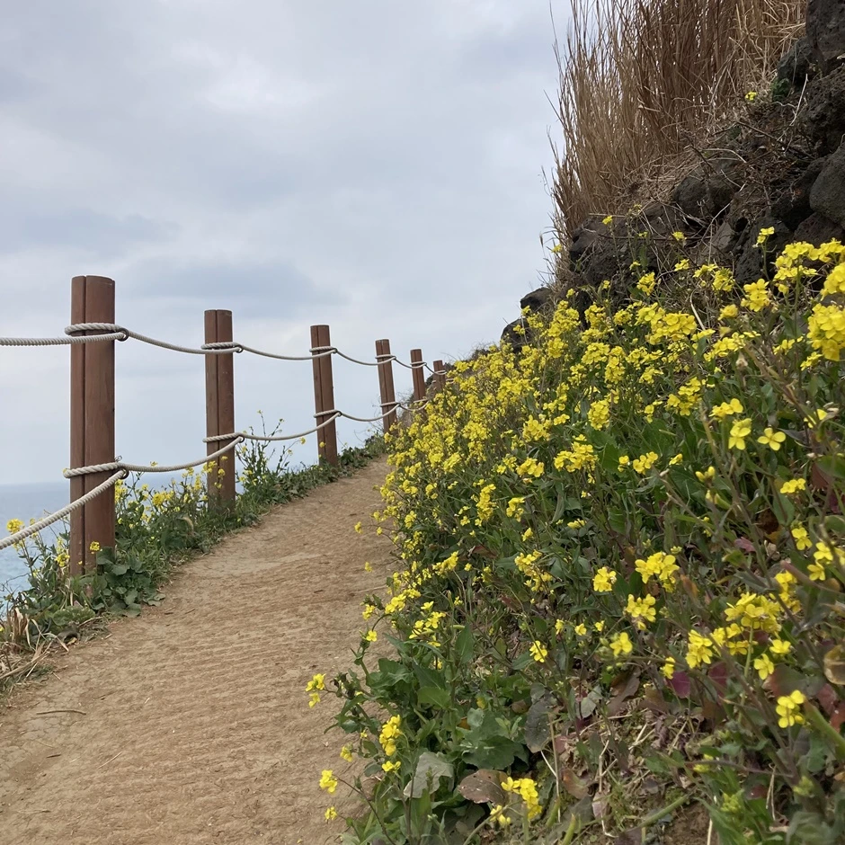 휴대폰(혜민)398 (1).JPEG