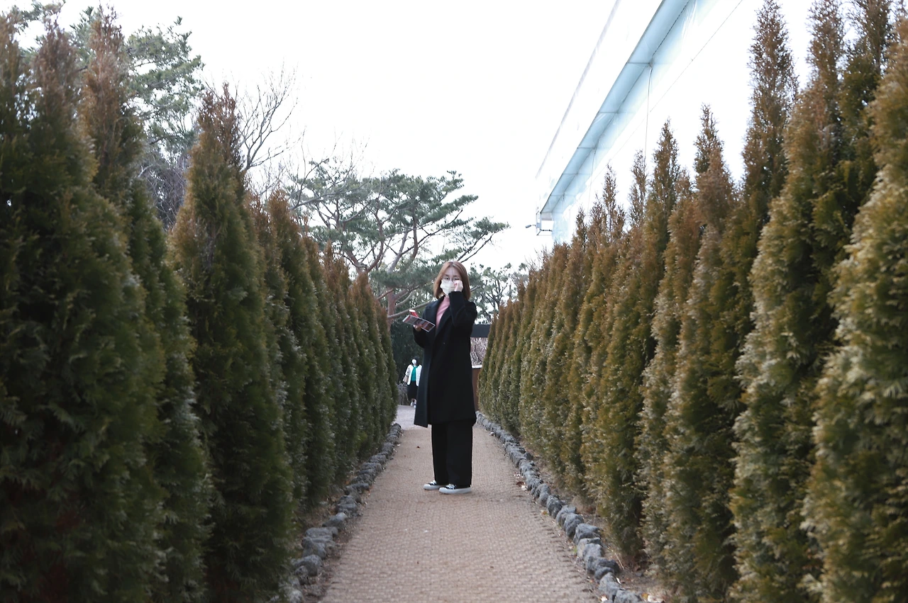 6D_(연주) (73).JPG