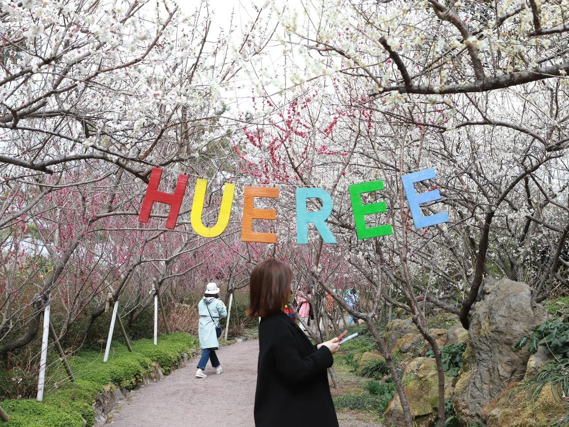 6D_(연주) (53).JPG