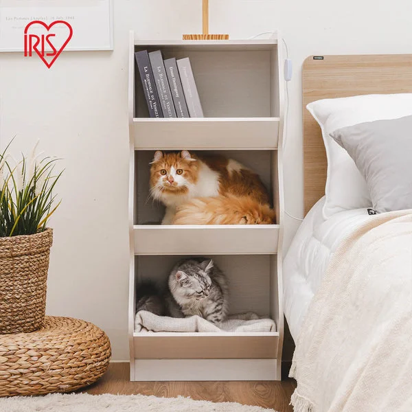 고양이 아파트.jpeg