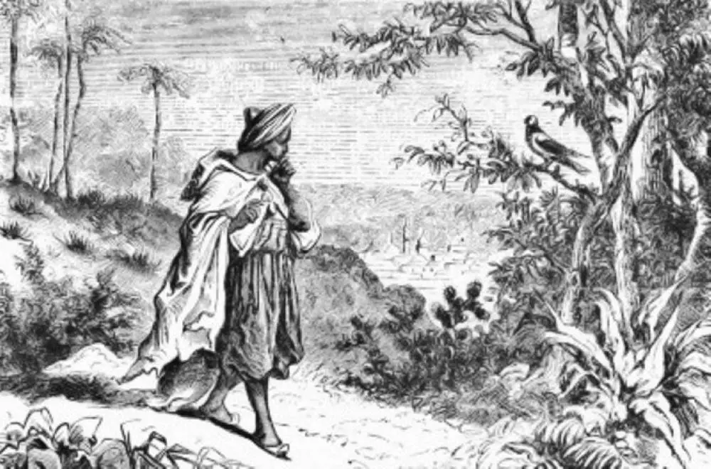 Omar 오마르 세라핌모아 커피_1.jpeg