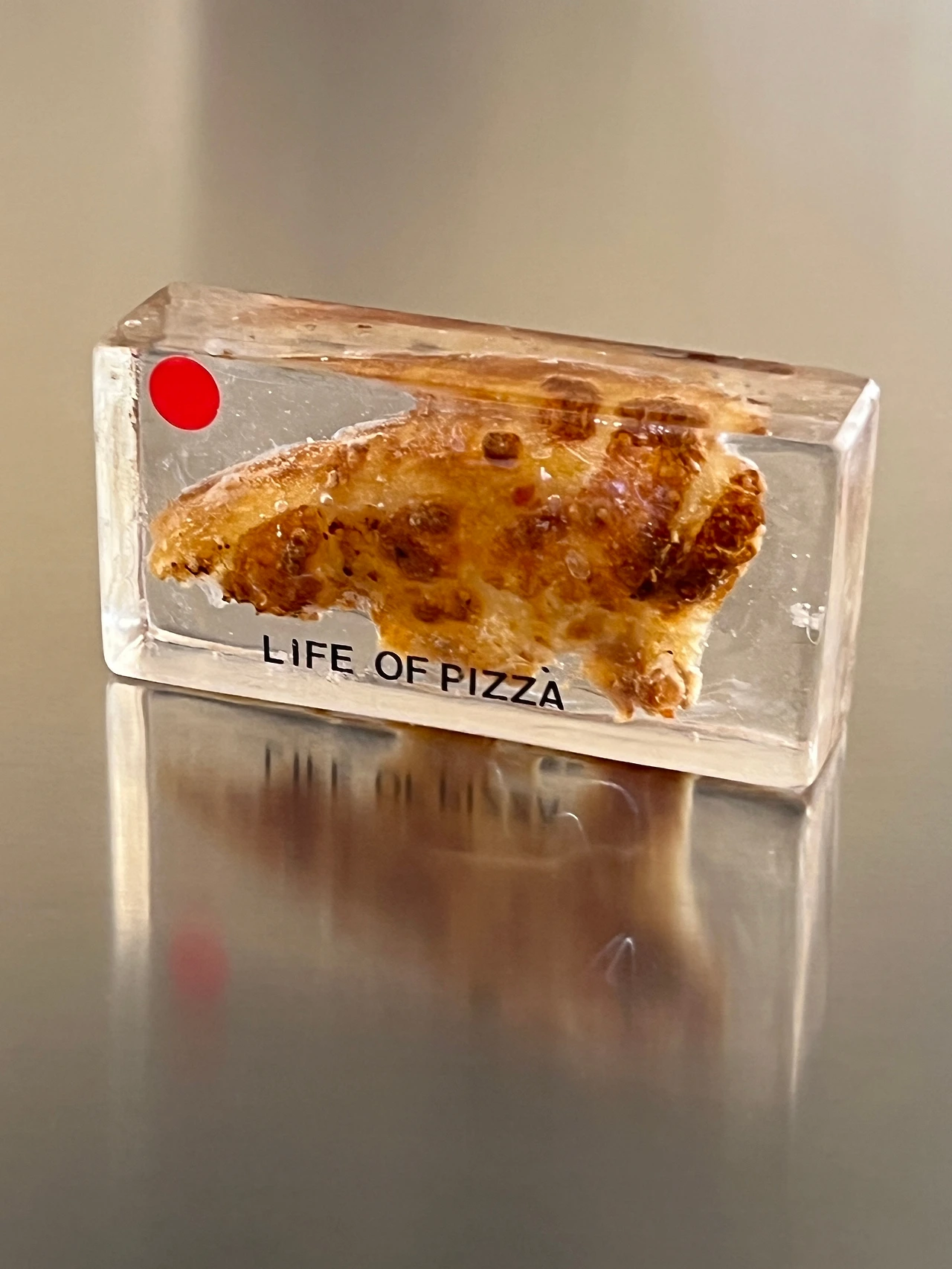 5_레진 피자.JPG