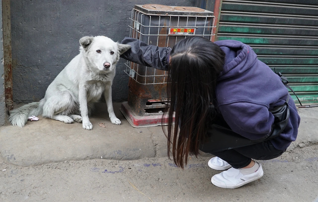 20161119다붓다붓 (7).JPG