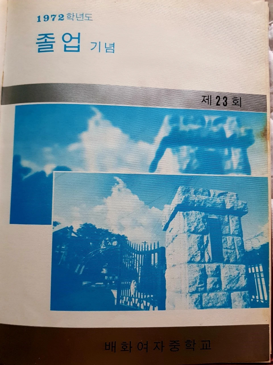 j_cjgUd018svc12hppg8brja10_bnmutt.jpg?type=e1920_std