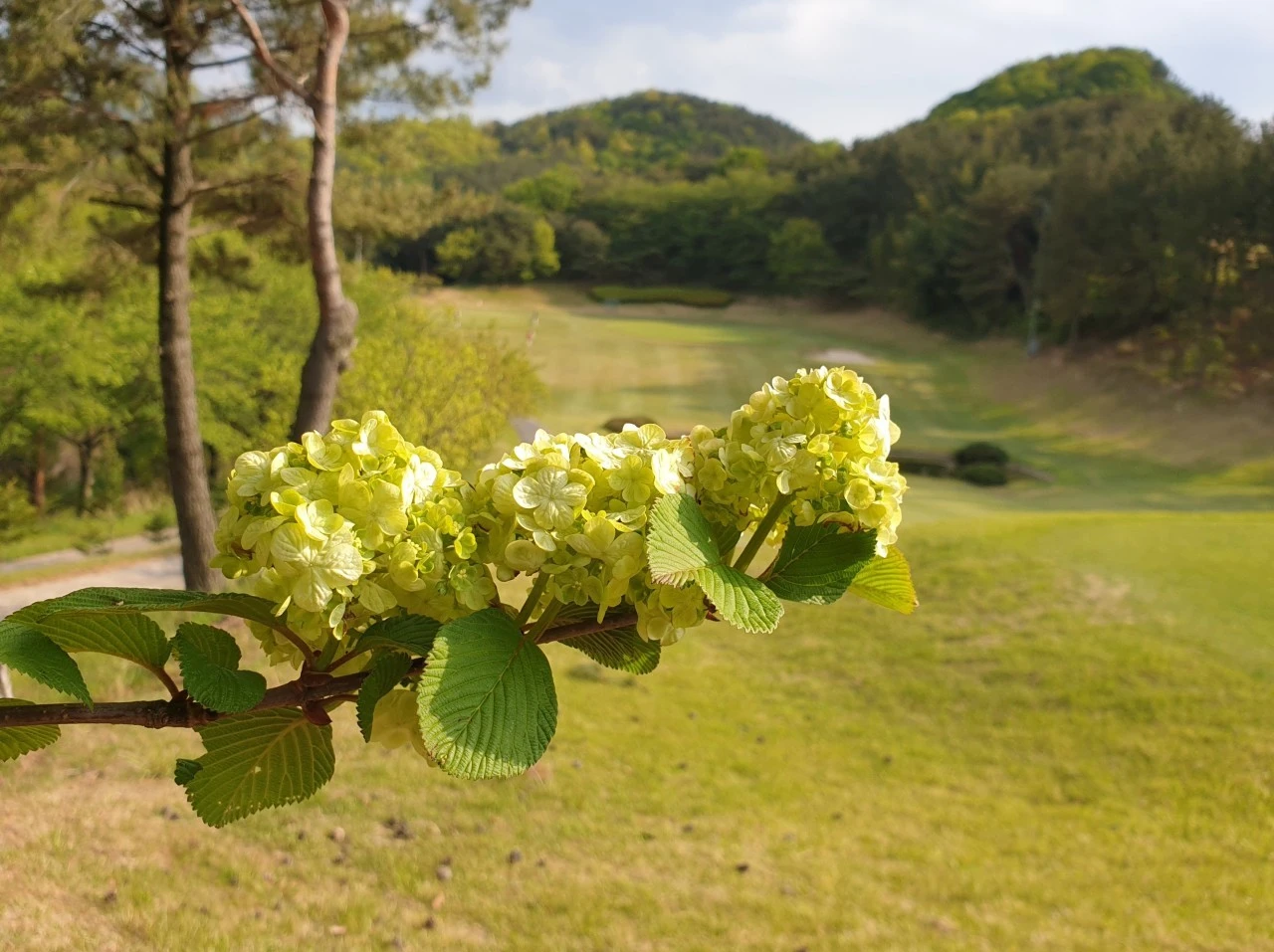 a_7h7Ud018svcyxj9wr2ovt8v_e9765c.jpg?type=e1920_std