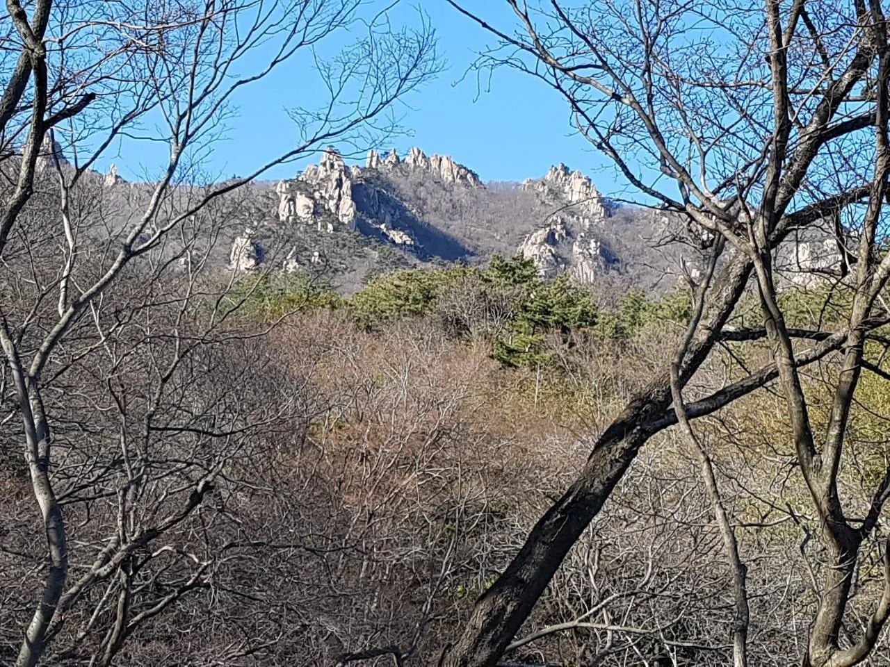 cb1Ud016svcga7ib8zkrc9e_dhylhl.jpg?type=e1920_std