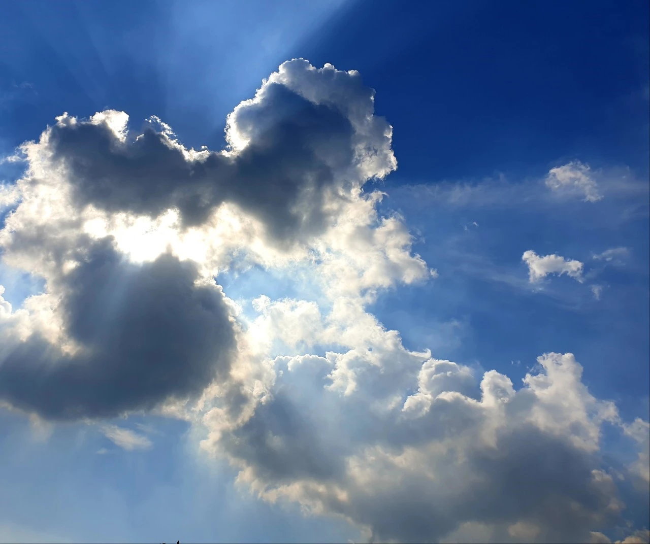 0_ej5Ud018svc1tildsjmgp8ic_e9765c.jpg?type=e1920_std