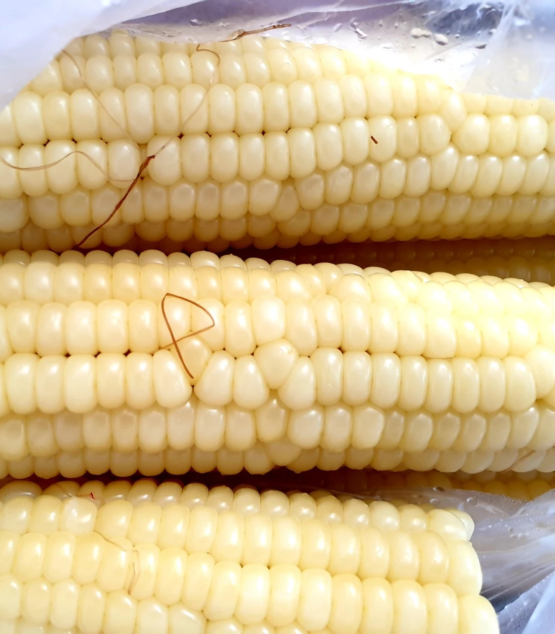 3_69fUd018svcy2vbb76wd1k_e9765c.jpg?type=e1920_std