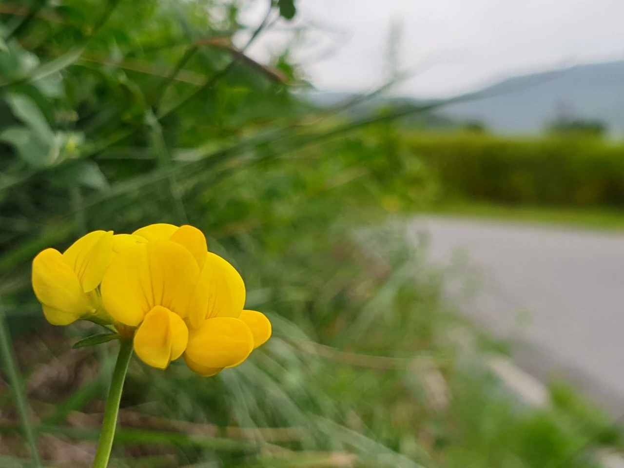 9_jj2Ud018svc1rfk49lczahyb_e9765c.jpg?type=e1920_std