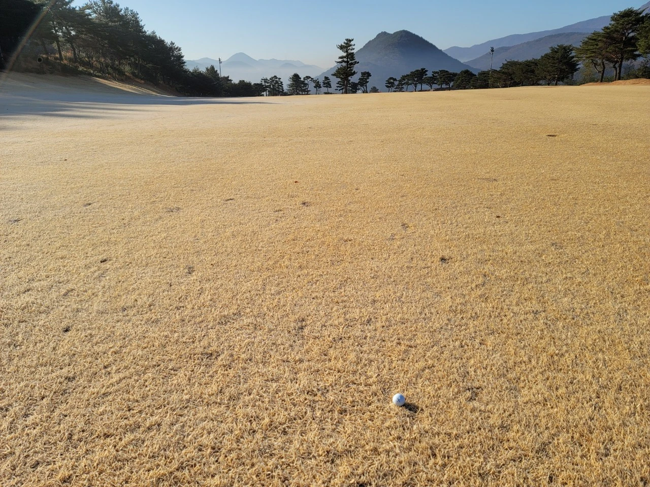 3_h7aUd018svcdte9rwwnjp79_e9765c.jpg?type=e1920_std