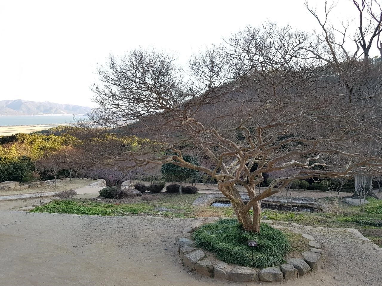 aa0Ud016svc1n5694ioa1bae_o6jlaa.jpg?type=e1920_std