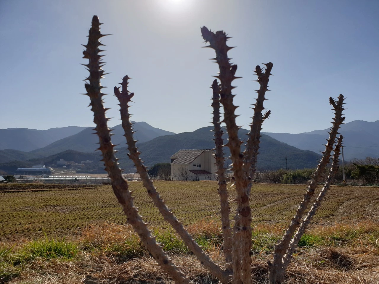 e_416Ud018svctwnoe4zw8e7v_e9765c.jpg?type=e1920_std