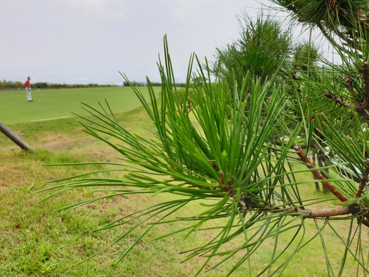 8_7j1Ud018svcez6bpjgknwro_e9765c.jpg?type=e1920_std