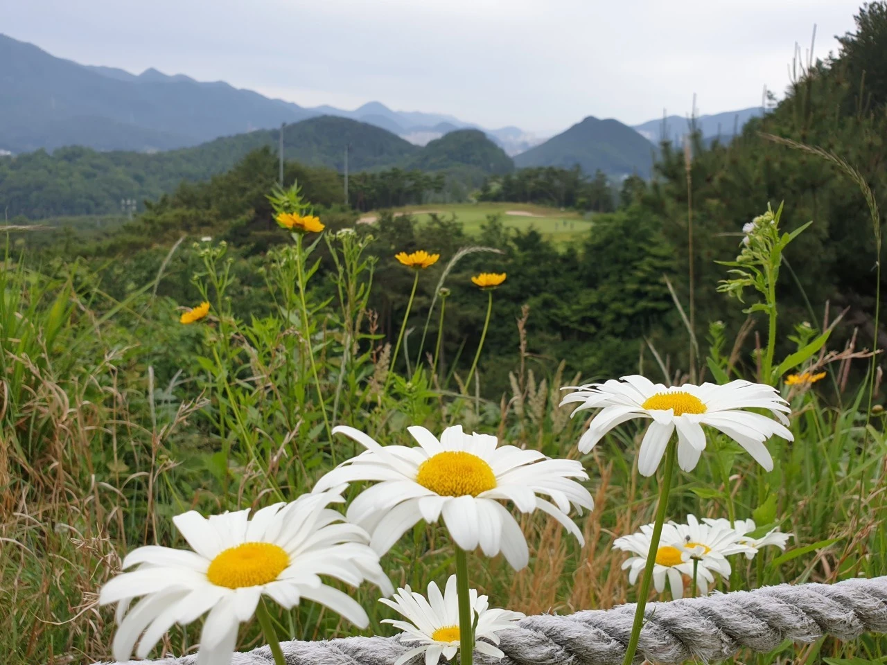 d_5afUd018svc13avldv97z0mz_e9765c.jpg?type=e1920_std