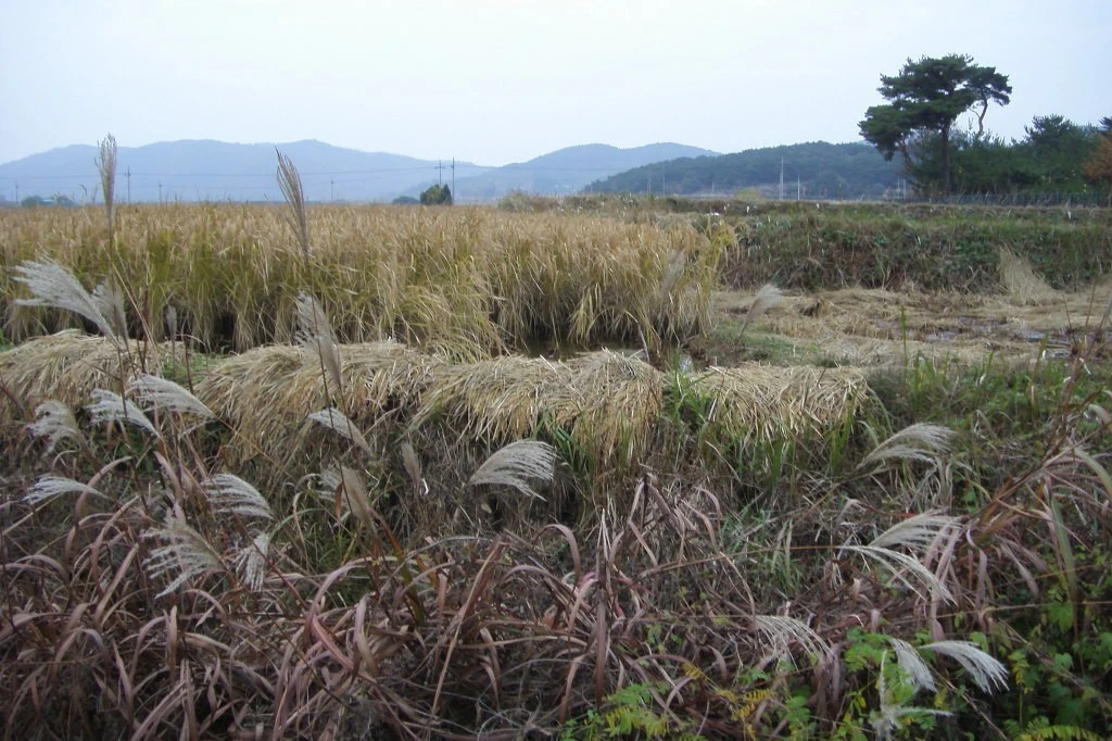 e_e3dUd018svc1uymwrs62ymxz_e9765c.jpg?type=e1920_std