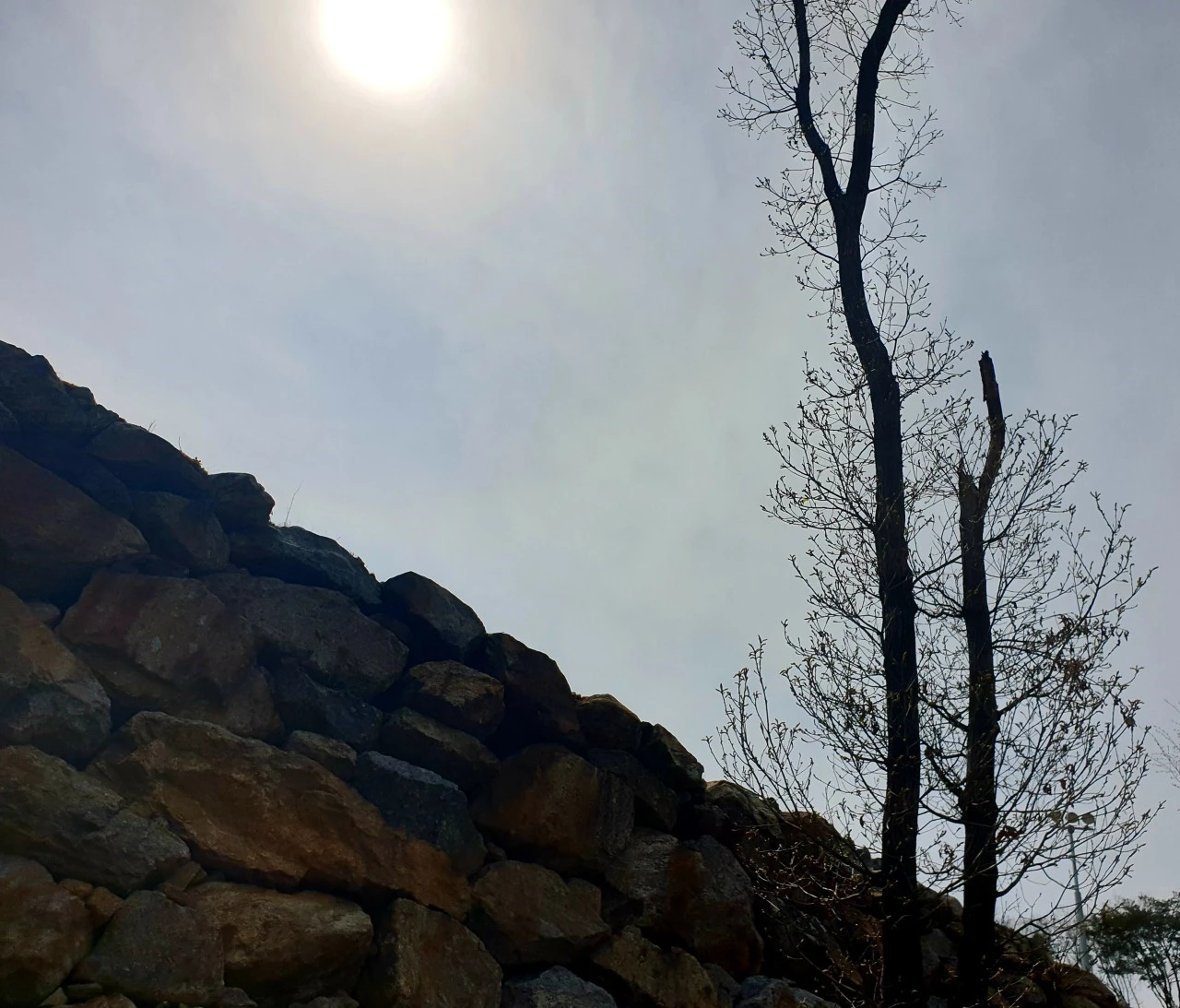 a_6adUd018svcsx87ipuiwfrt_e9765c.jpg?type=e1920_std