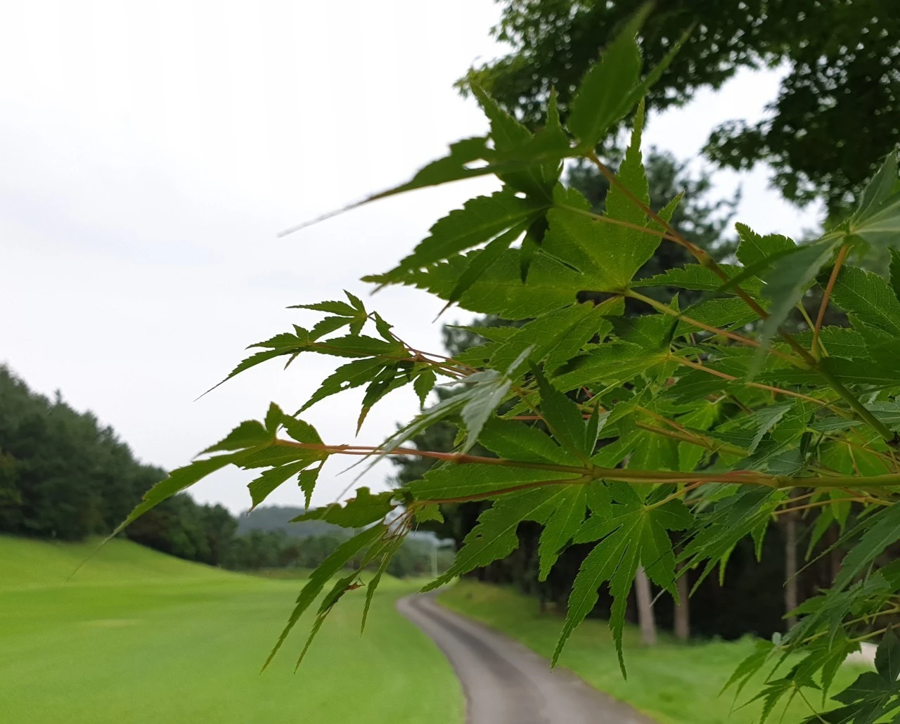 i_01cUd018svcq97vgqprt03d_e9765c.jpg?type=e1920_std