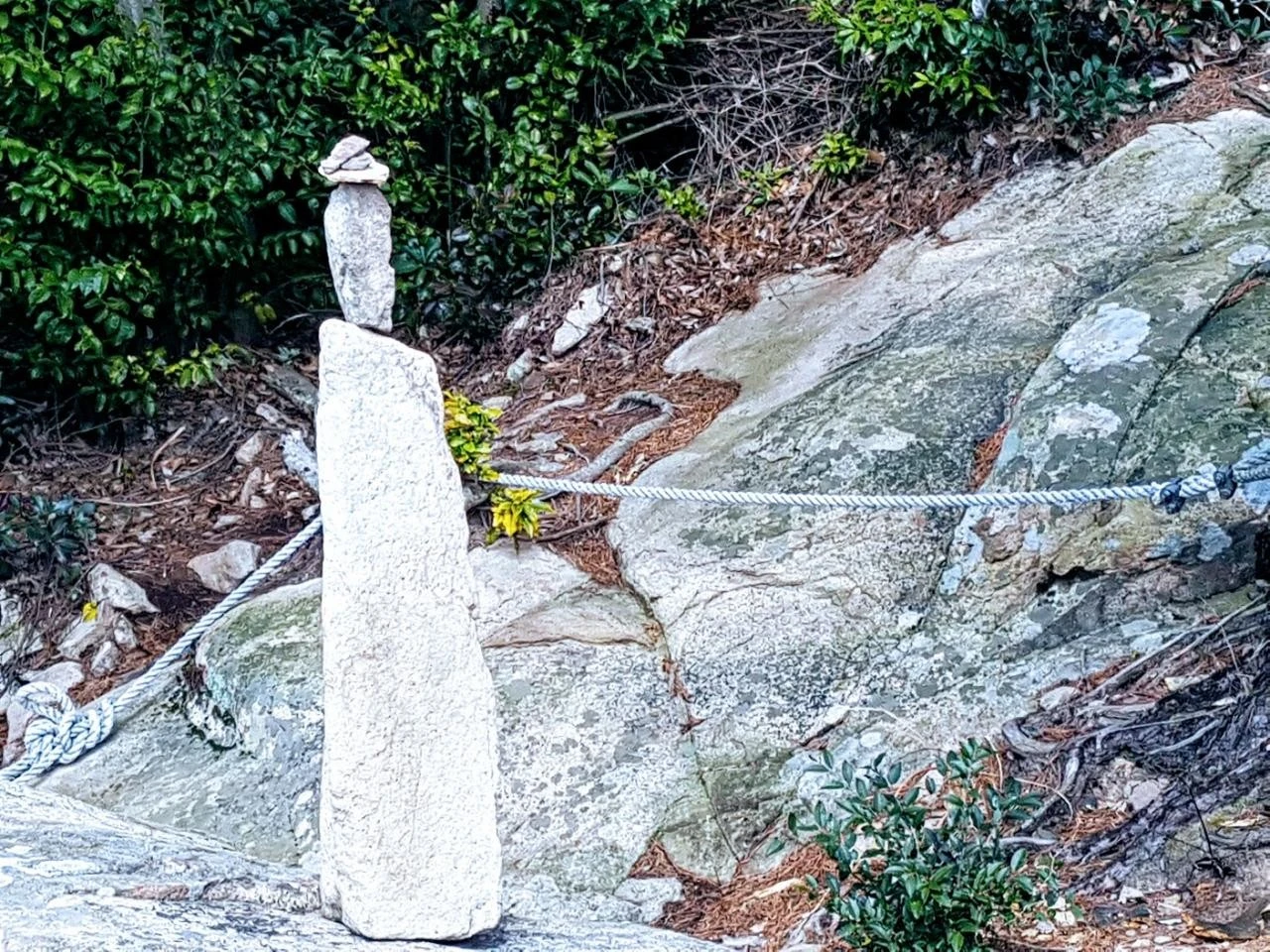 2fhUd017svccbe5u3g3f9fm_emxi.jpg?type=e1920_std