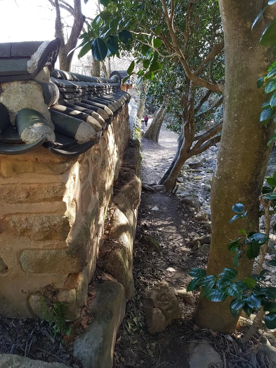 debUd016svc1k3fwi2jyzw8s_q00o63.jpg?type=e1920_std