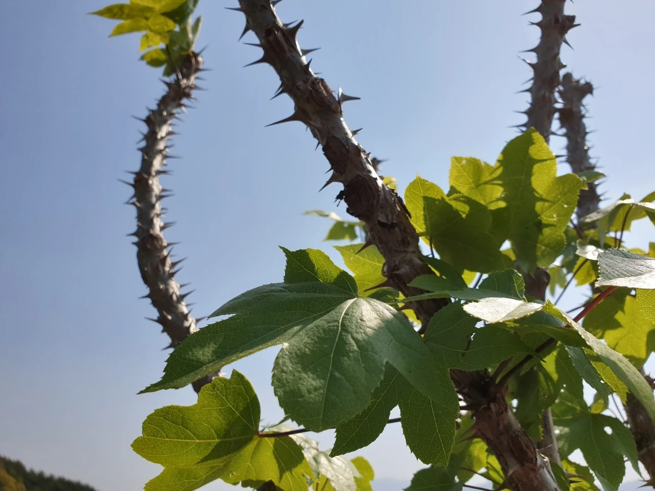 1_i70Ud018svc1r53181y4ve1m_e9765c.jpg?type=e1920_std