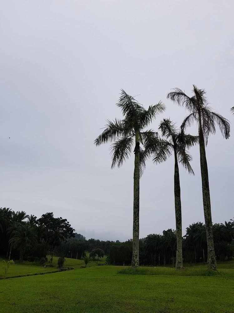 h_h6hUd018svc7y2m62xus7i7_8kv10u.jpg?type=e1920_std