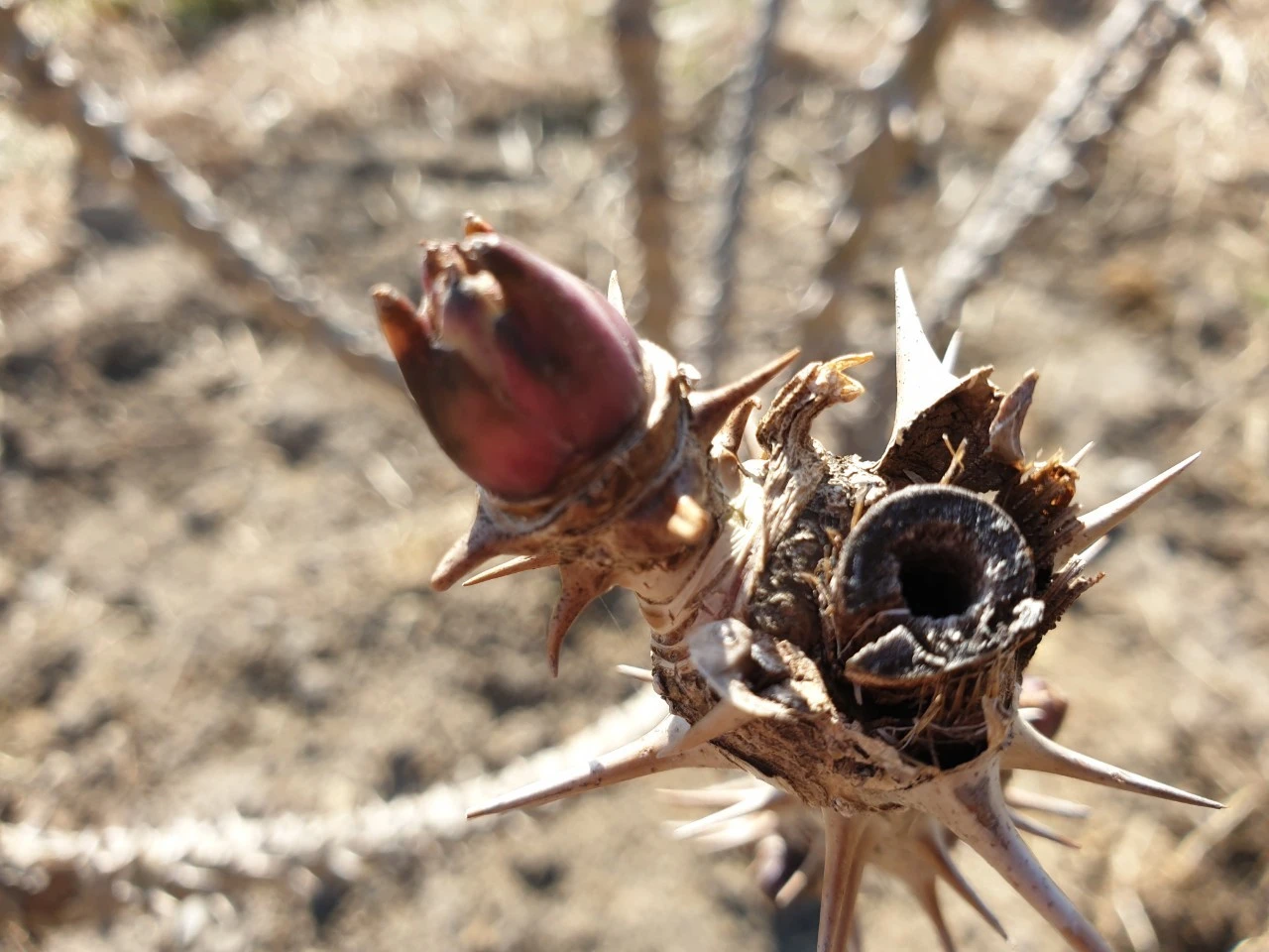 e_416Ud018svc1kpko0naq0roj_e9765c.jpg?type=e1920_std