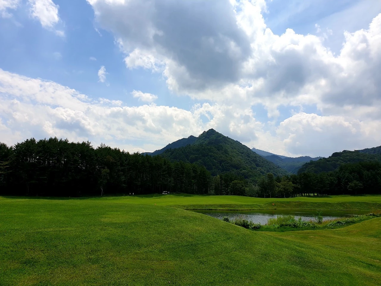 8_7gcUd018svclc4wpwwky8z3_e9765c.jpg?type=e1920_std