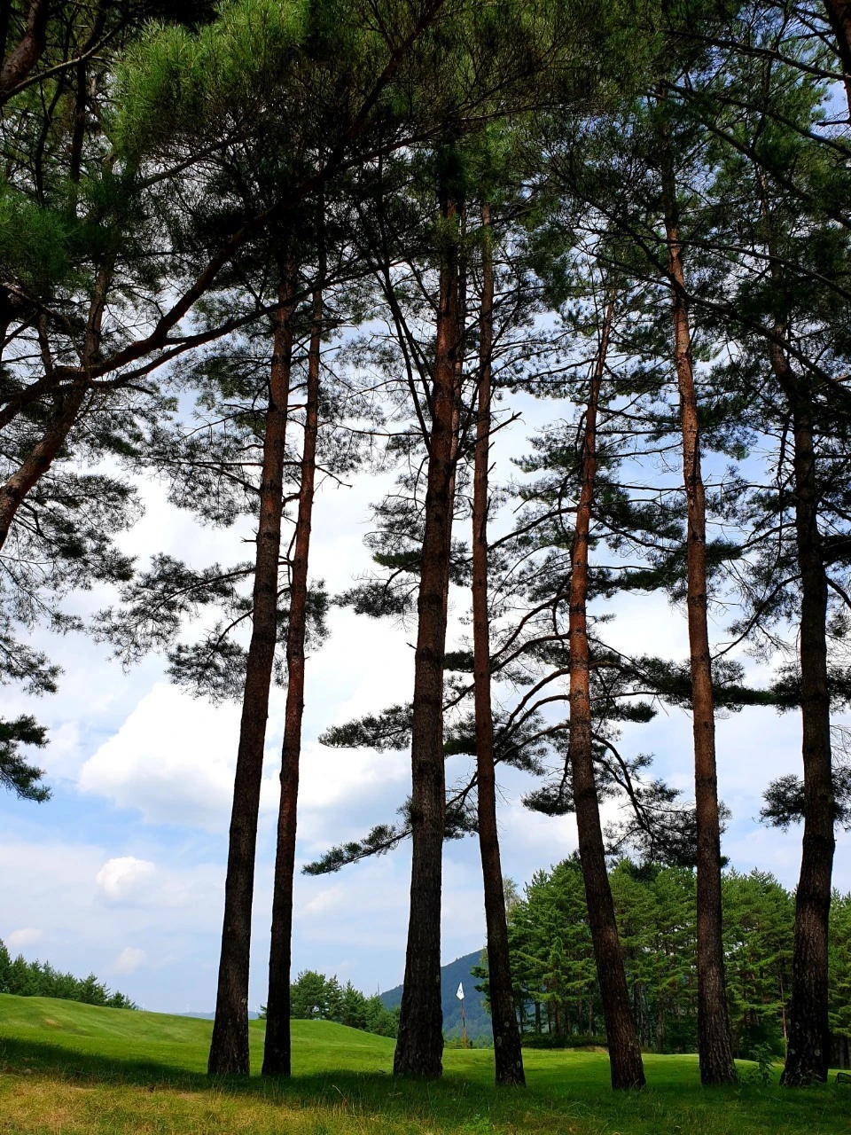 8_3gcUd018svc1umwitm0wddlw_e9765c.jpg?type=e1920_std