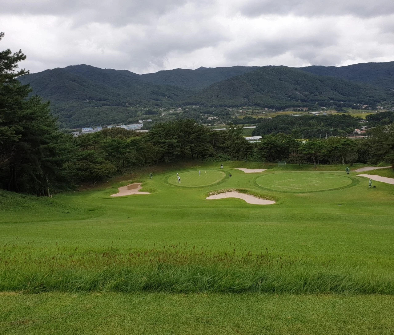 d_a1cUd018svcfz2faq2r0hj7_e9765c.jpg?type=e1920_std